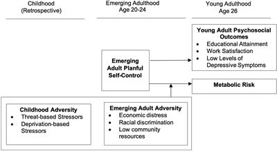 Planful Self-Control, Metabolic Risk, and Psychosocial Outcomes Among Young, Black Men: A Test of Skin-Deep Resilience Theory